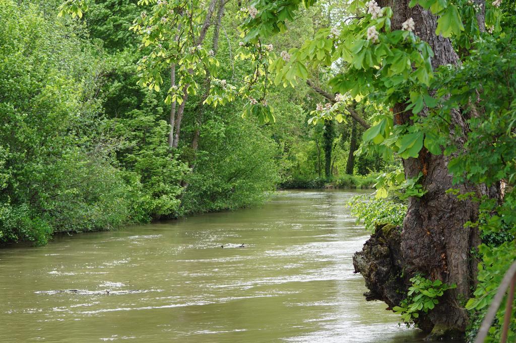 Le Moulin D'Eclaron Panzió Szoba fotó